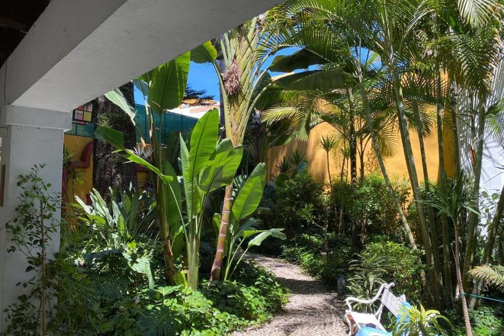 Duplex Centrico Frente A Hotel Monasterio, Playas Y Pinares En Las Proximidades El Puerto de Santa María Zewnętrze zdjęcie